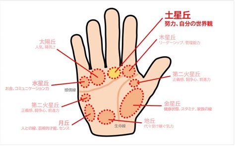 土星丘直紋|手相占い！中指の下（土星丘）のたて線・半円・トライデント線。